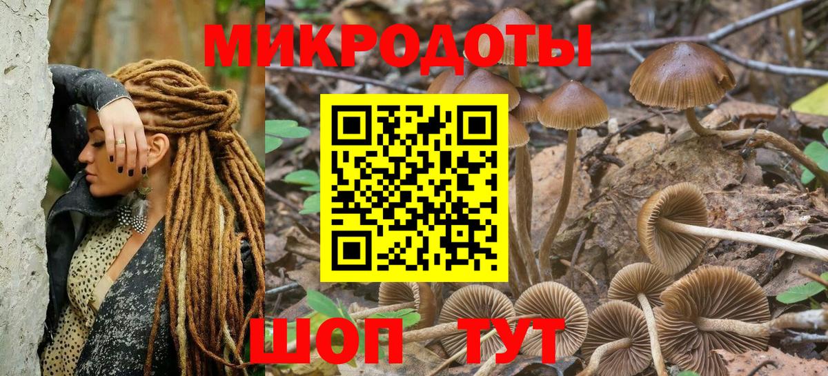 Партизанск  Галлюциногенные грибы мухоморы  сколько стоит  Галлюциногенные грибы Magic Shrooms  Вход с VPN 