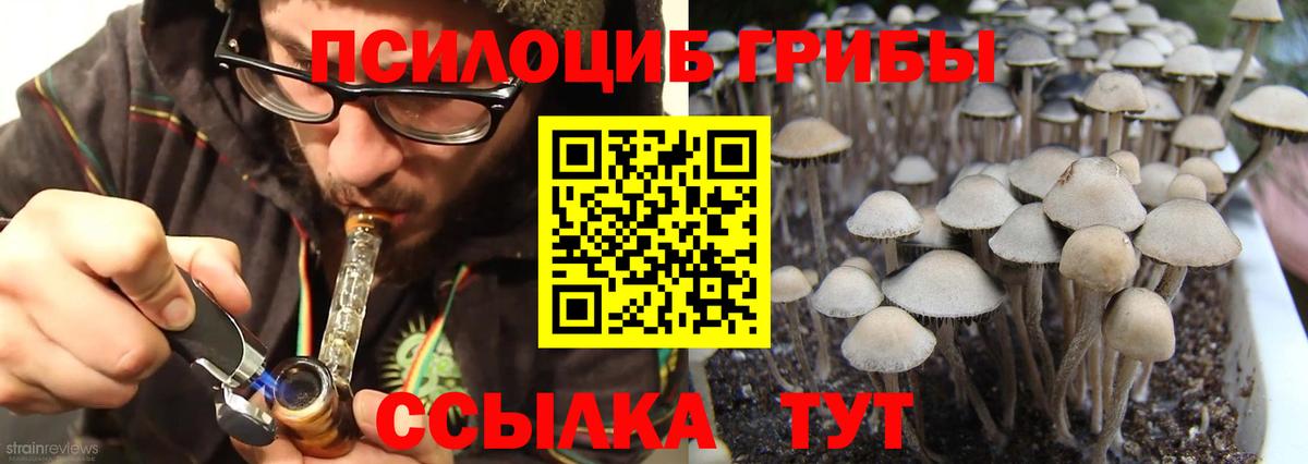 COCAIN  Амфетамин кристаллы  Каннабис  LSD-25  Гашиш  МДМА  ГАШИШ  МЕФ   Партизанск  Вход с VPN 
