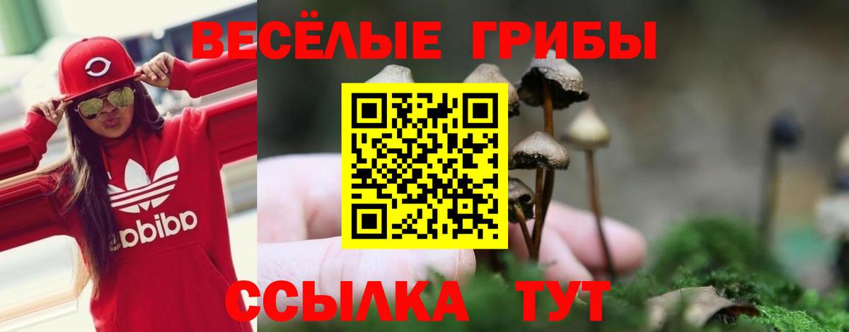 Галлюциногенные грибы Psilocybine cubensis Партизанск